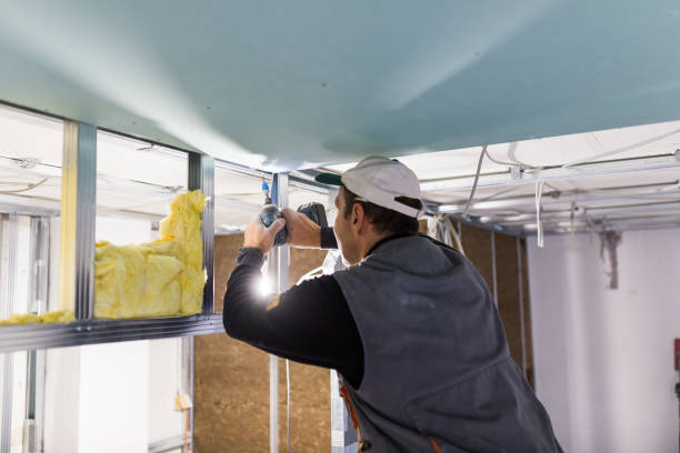 Best Cellulose Insulation in Keokea, HI