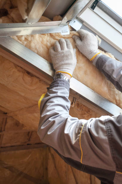 Types of Insulation We Offer in Keokea, HI