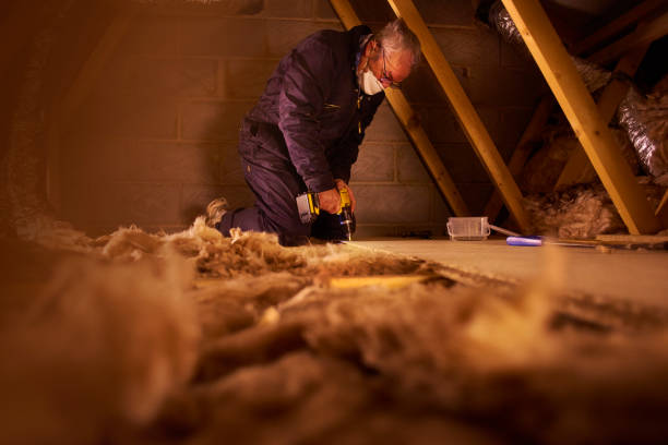 Best Spray Foam Insulation in Keokea, HI
